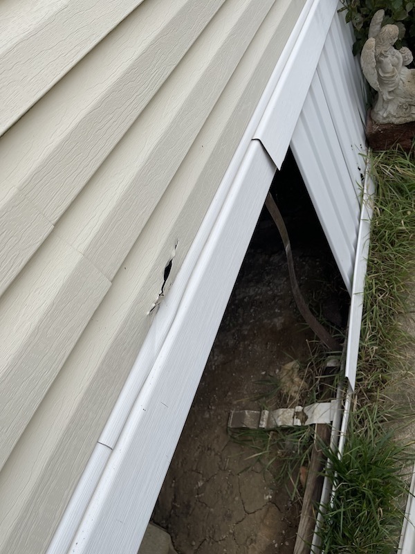 Bellevue MI Vinyl Siding Bellevue MI Vinyl Siding